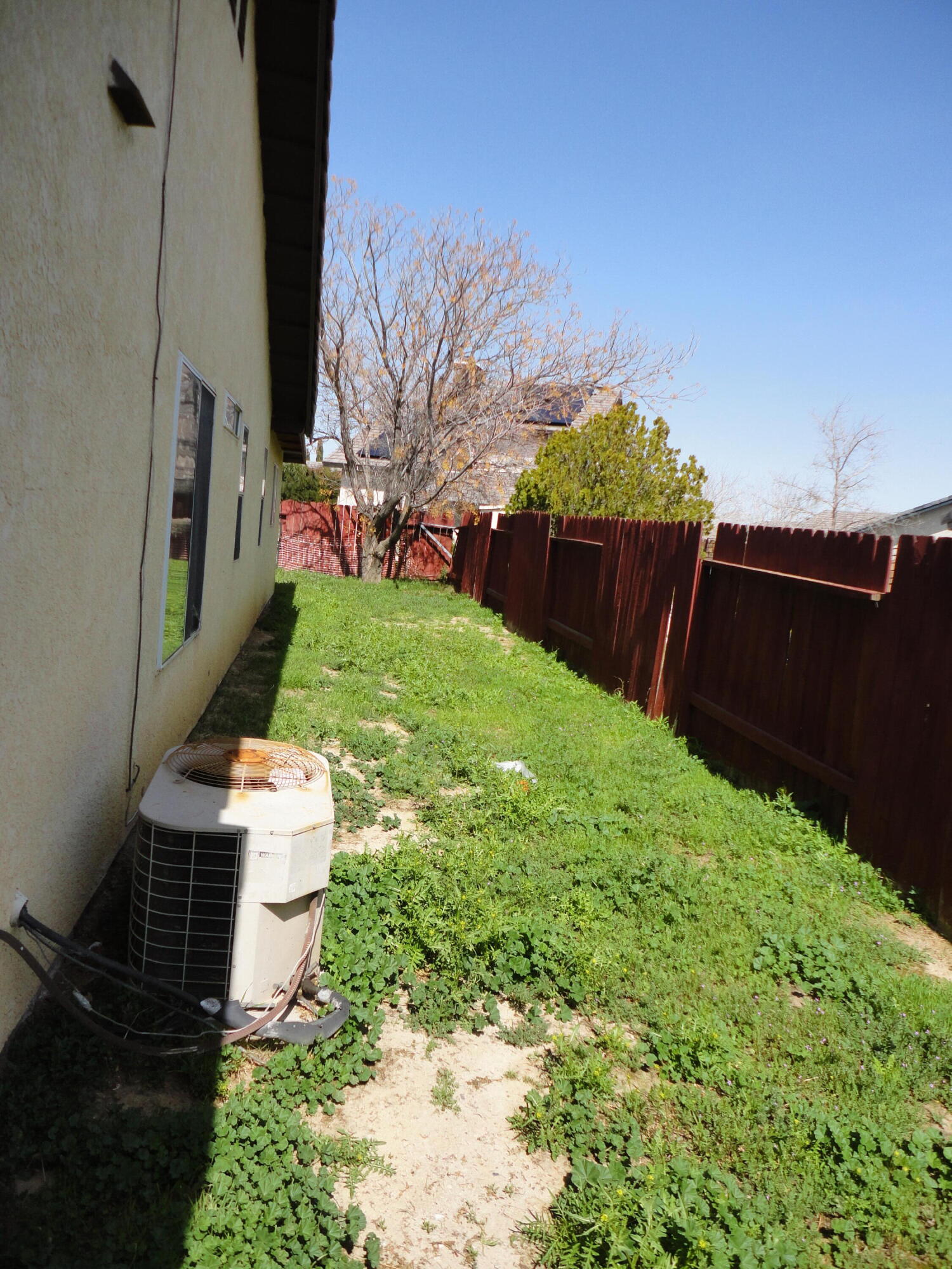 2113 Lightcap Street Lancaster, CA 93535 - Photo 15 of 15 Backyard-Side