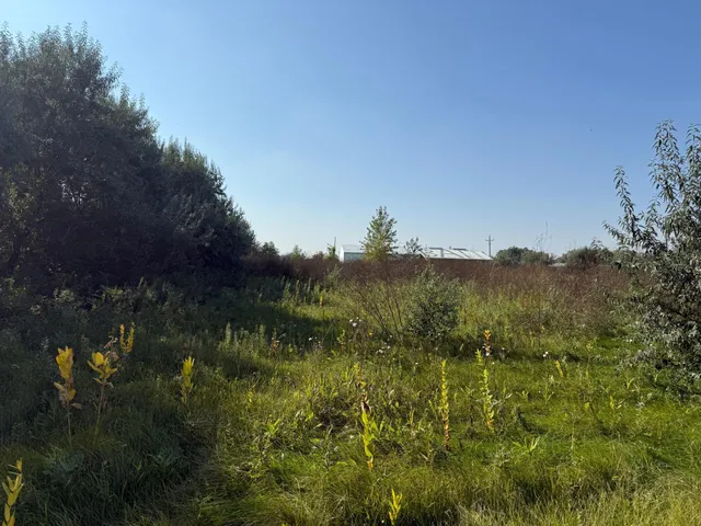 $199,900 | 6655 Highway 10, Glyndon, MN 56547