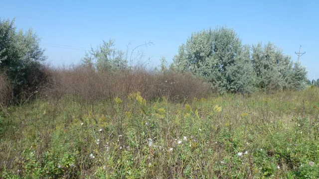 $199,900 | 6655 Highway 10, Glyndon, MN 56547