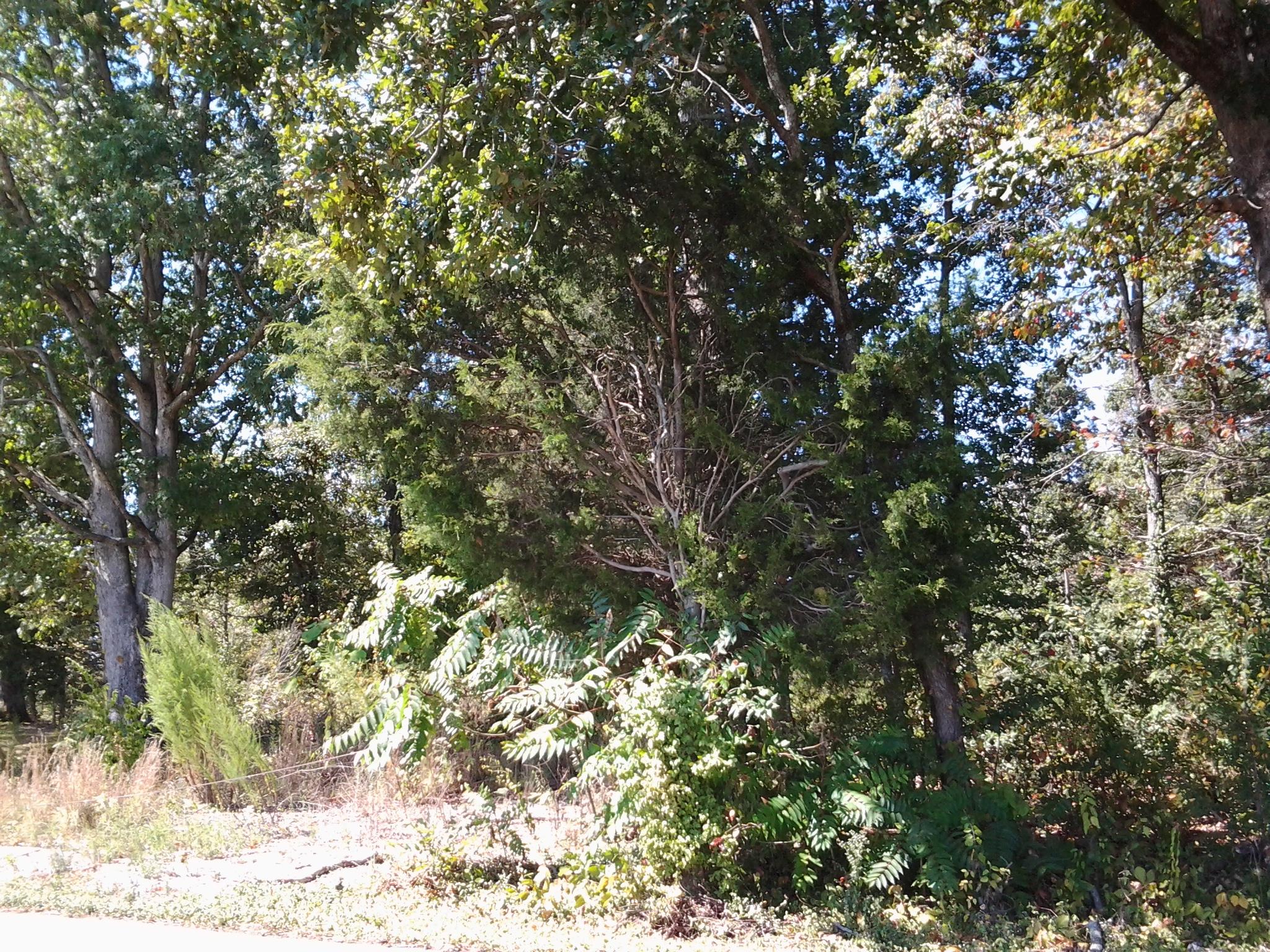 Oak Grove Road, Unit 3 Madisonville, TN 37354 - Photo 2 of 6 20160912_134610