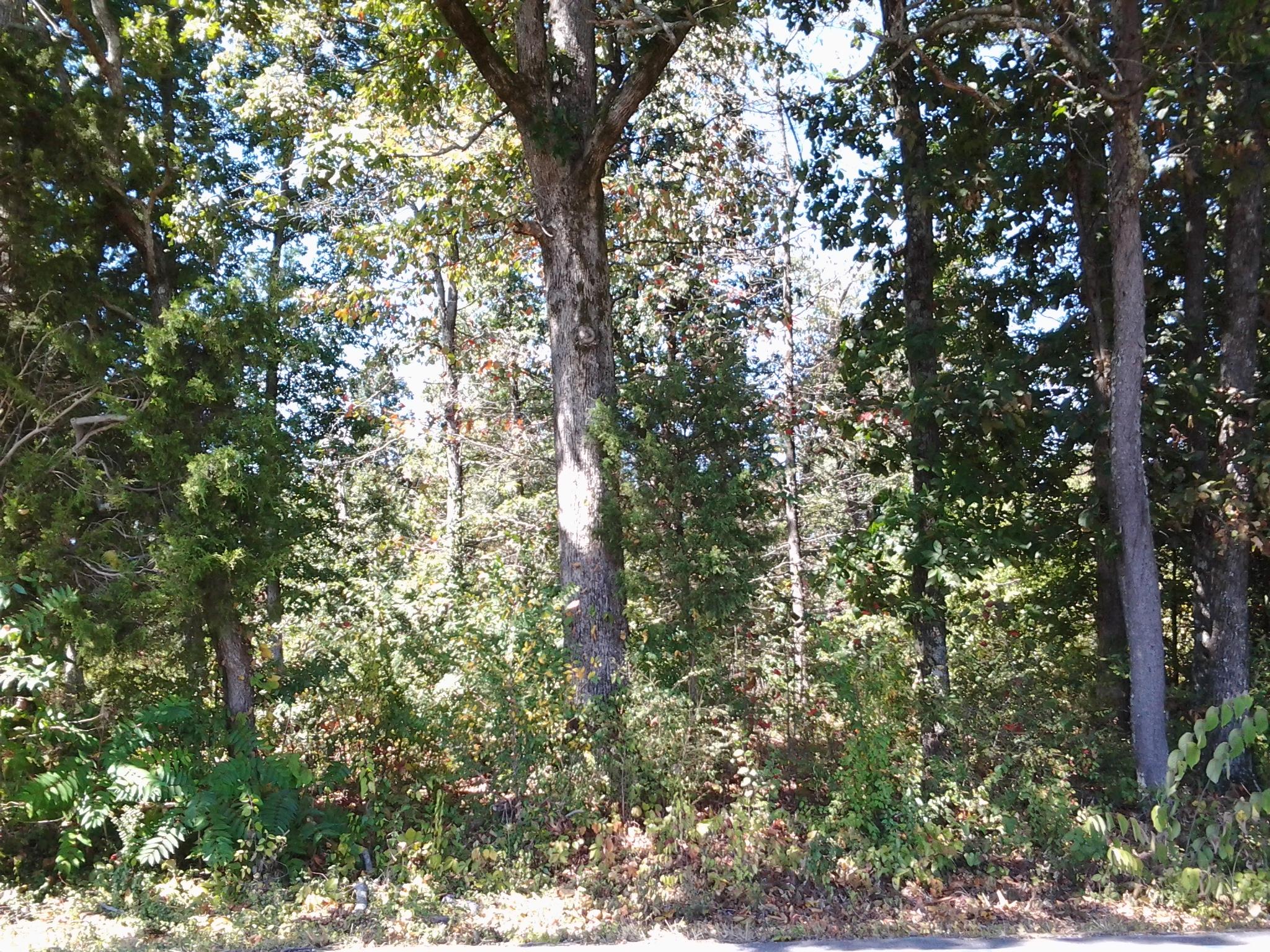 Oak Grove Road, Unit 3 Madisonville, TN 37354 - Photo 3 of 6 20160912_134612