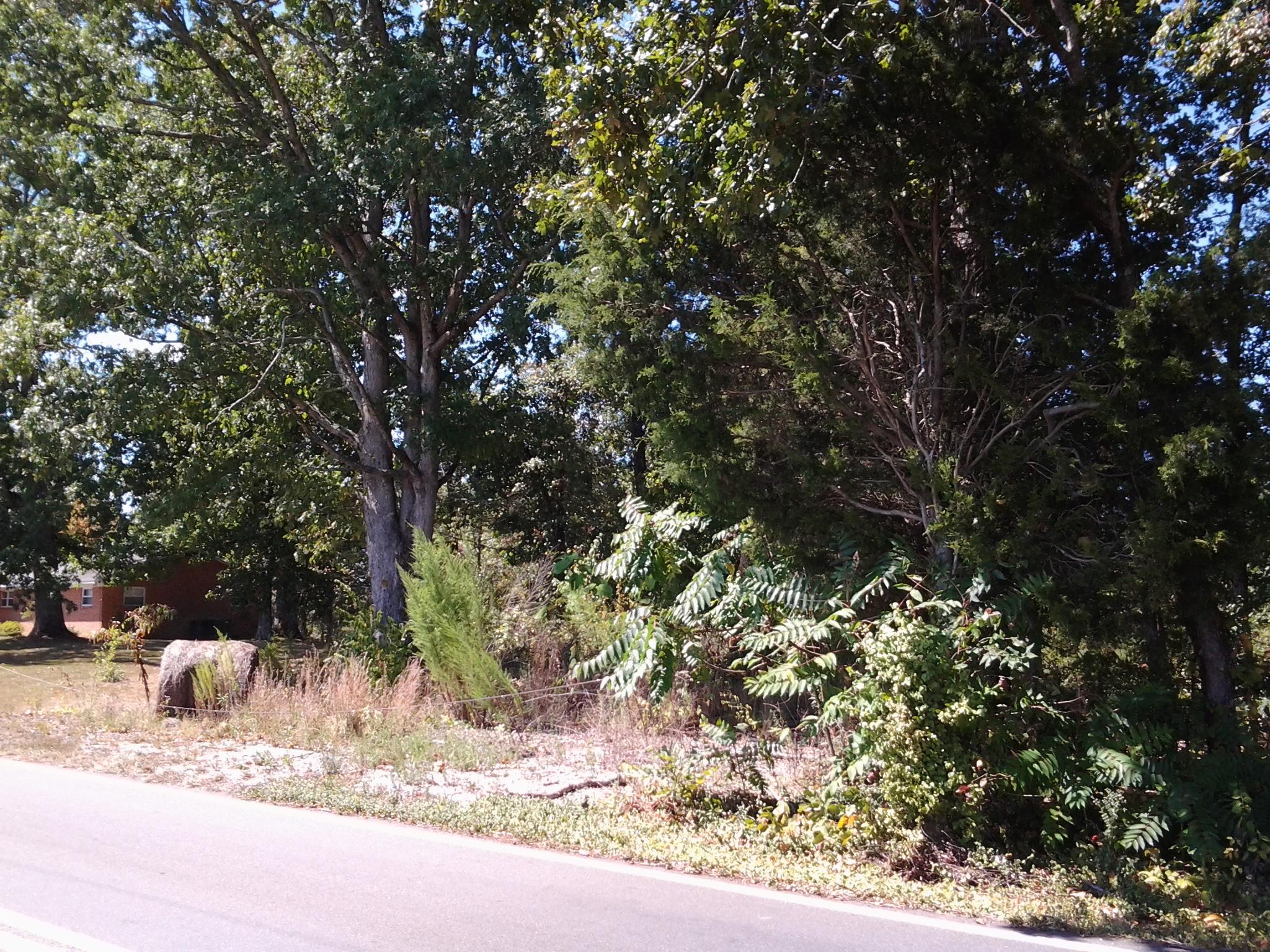 Oak Grove Road, Unit 3 Madisonville, TN 37354 - Photo 4 of 6 20160912_134616