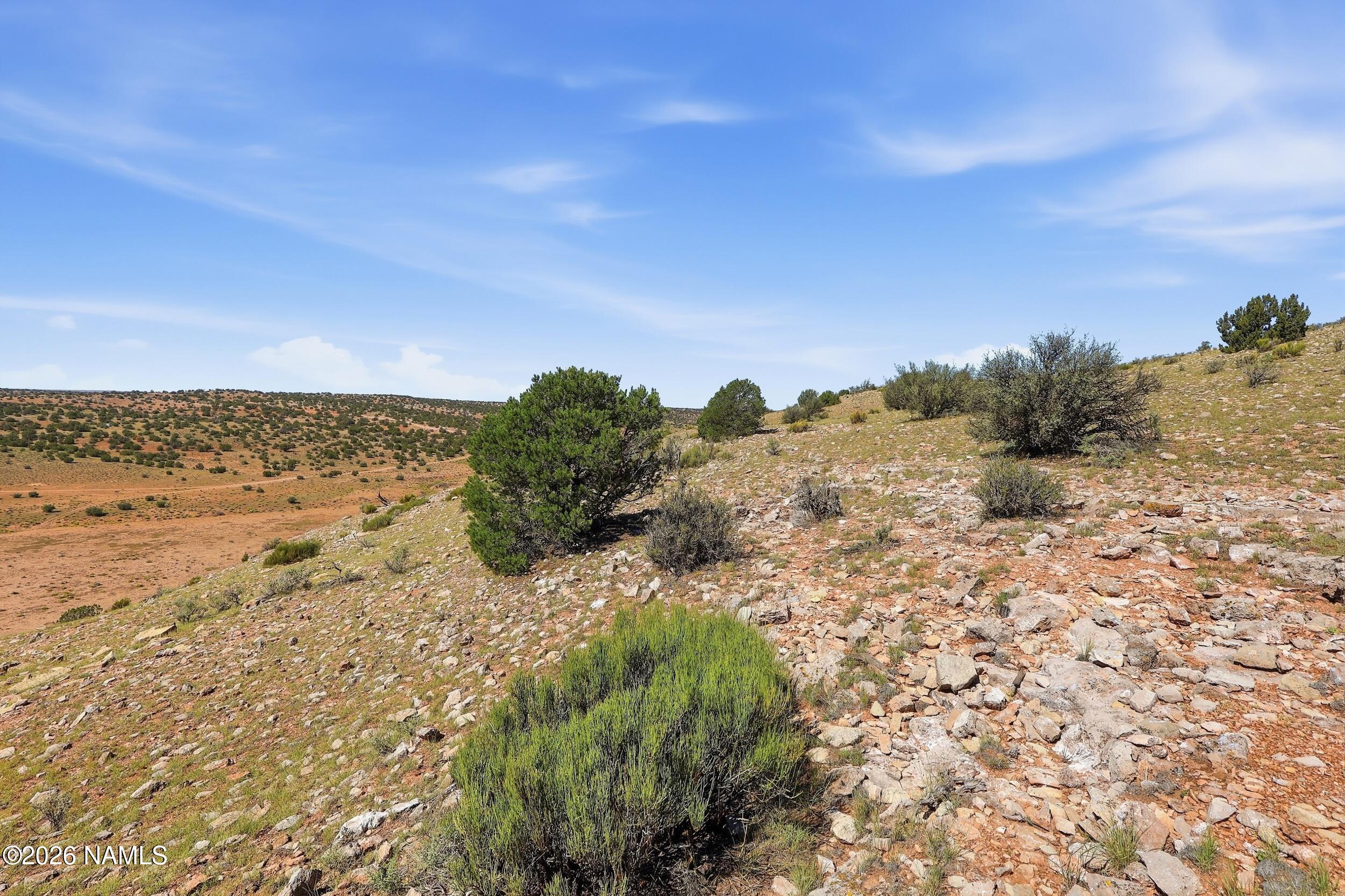 8175 Sharp Knife Road Williams, AZ 86046 - Photo 17 of 19 160