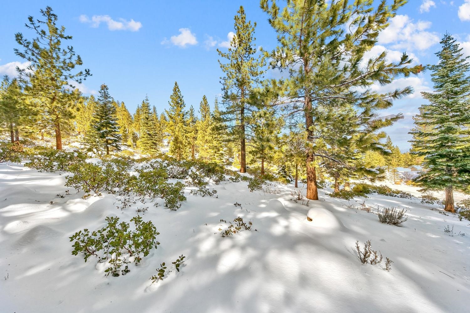 135 West Jeffrey Pine Road Reno, NV 89511 - Photo 17 of 21 Gallery Image 17
