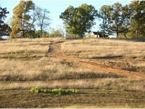 Lot 3 Buckingham Road, Unit 3 Johnson City, TN 37615 - Photo 6 of 7 Photo 6