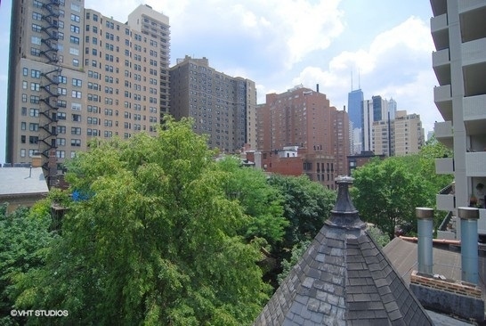 1436 North Astor Street Chicago, IL 60610 - Photo 7 of 14