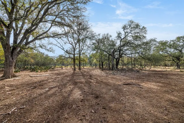 a view of dirt field with large trees