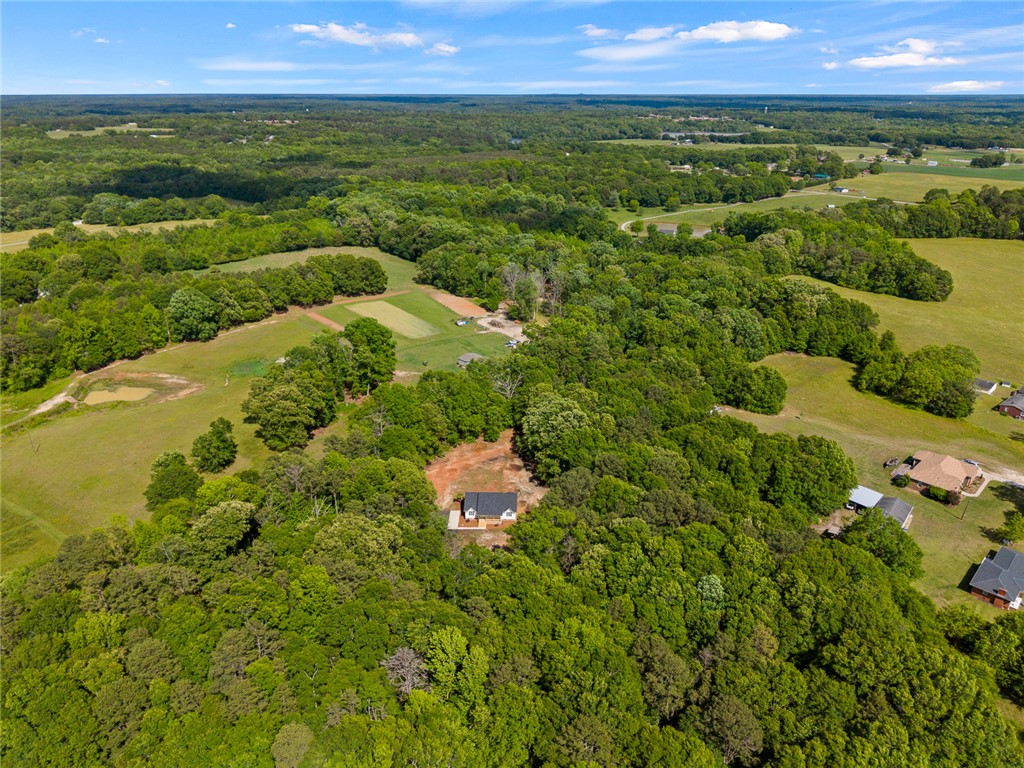 131 Lockaby Road Pelzer, SC 29669 - Photo 44 of 50 This elevated view highlights the expansive greenery and secluded charm of this property.