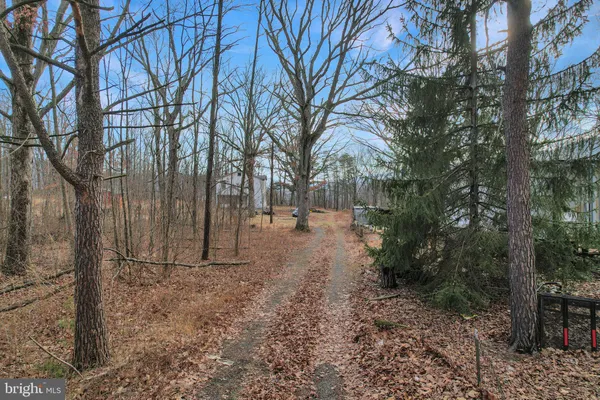 a view of outdoor space with trees