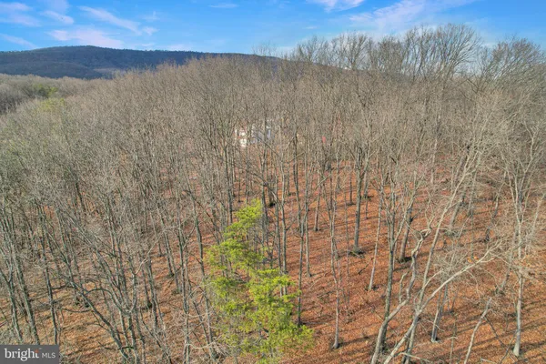 a bathroom with a shower curtain