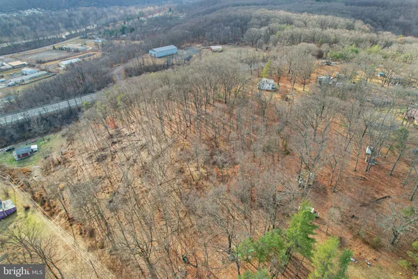 a view of a dry yard
