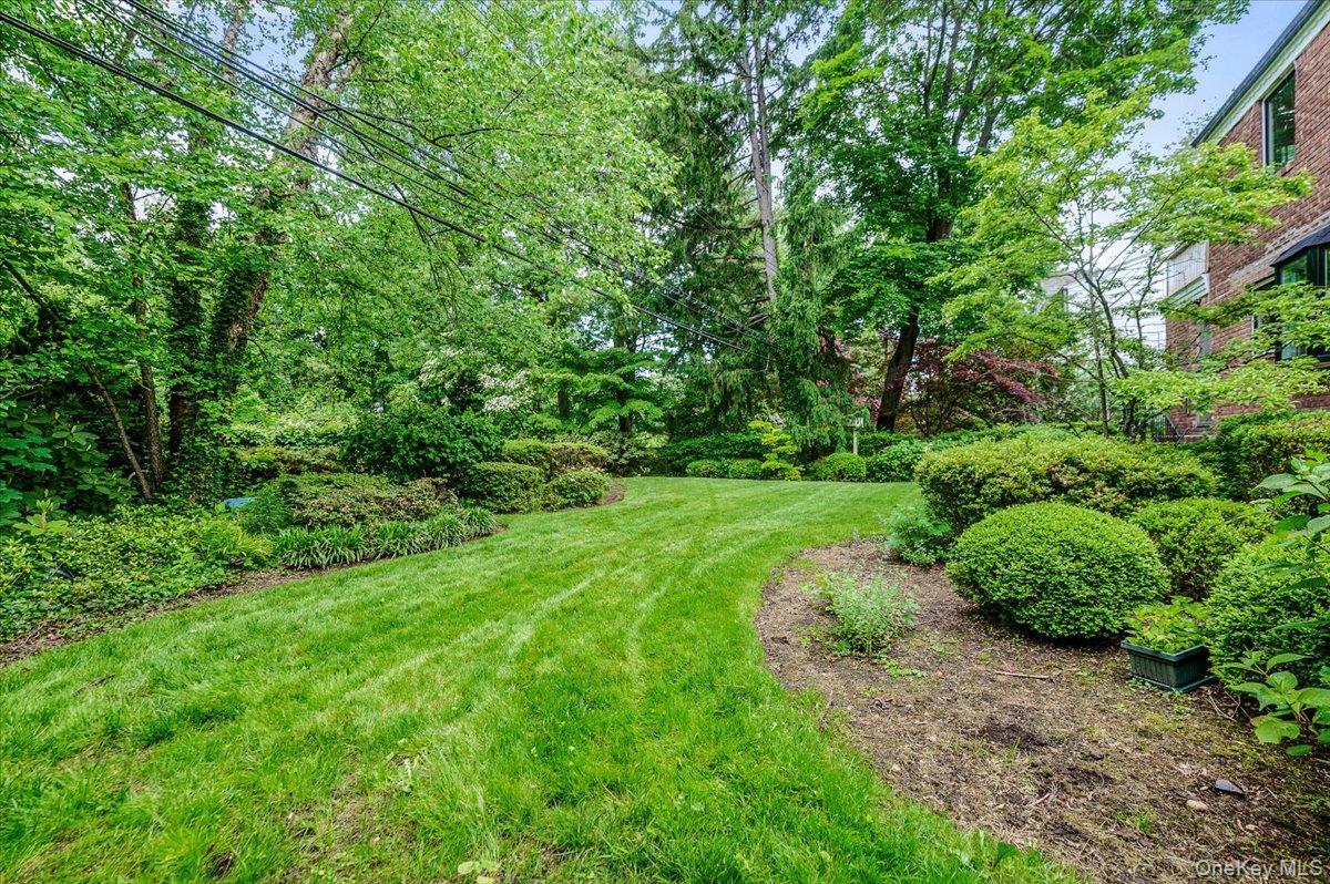 8 Parkside Drive Great Neck, NY 11021 - Photo 31 of 32