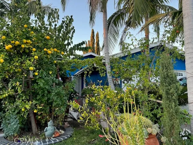 a plant that is in front of a building