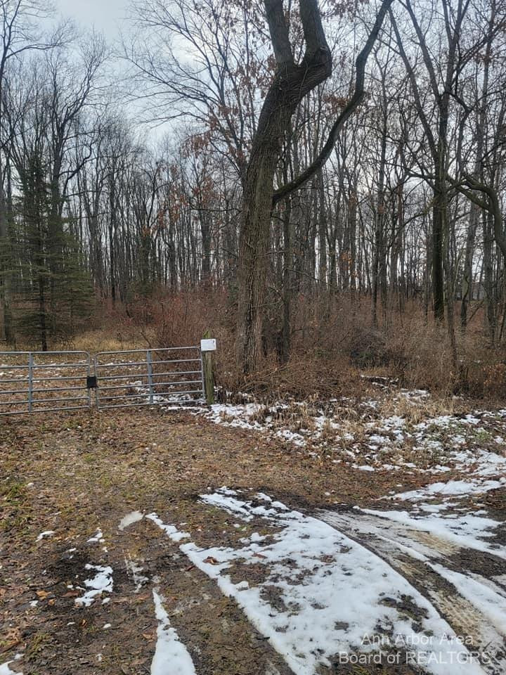 0 South Jackson Road Horton, MI 49246 - Photo 2 of 4