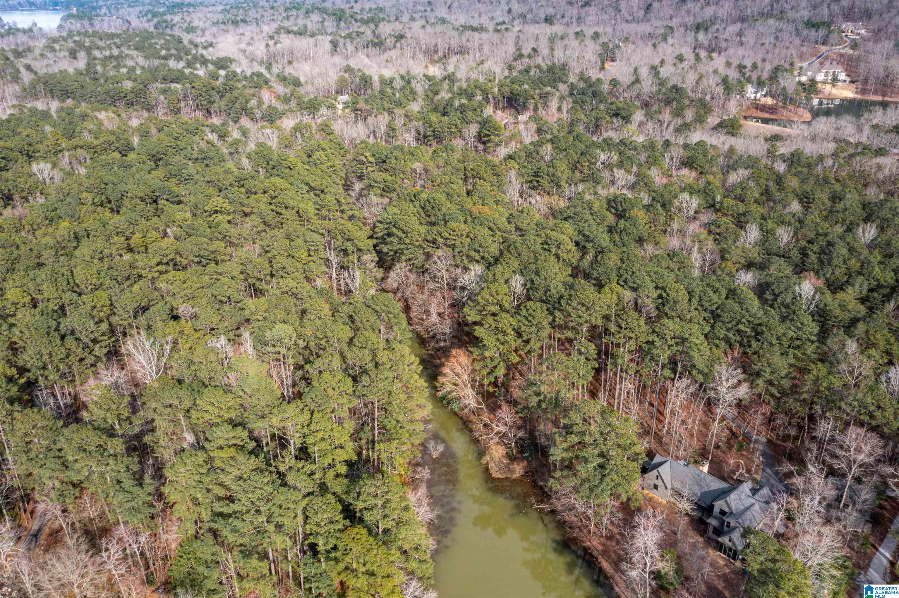958 Smyer Lake Road Leeds, AL 35094 - Photo 4 of 10