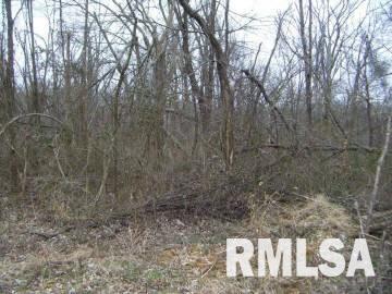 Tbd West Crossroads Road Vienna, IL 62995 - Photo 1 of 1 Gallery Image 1