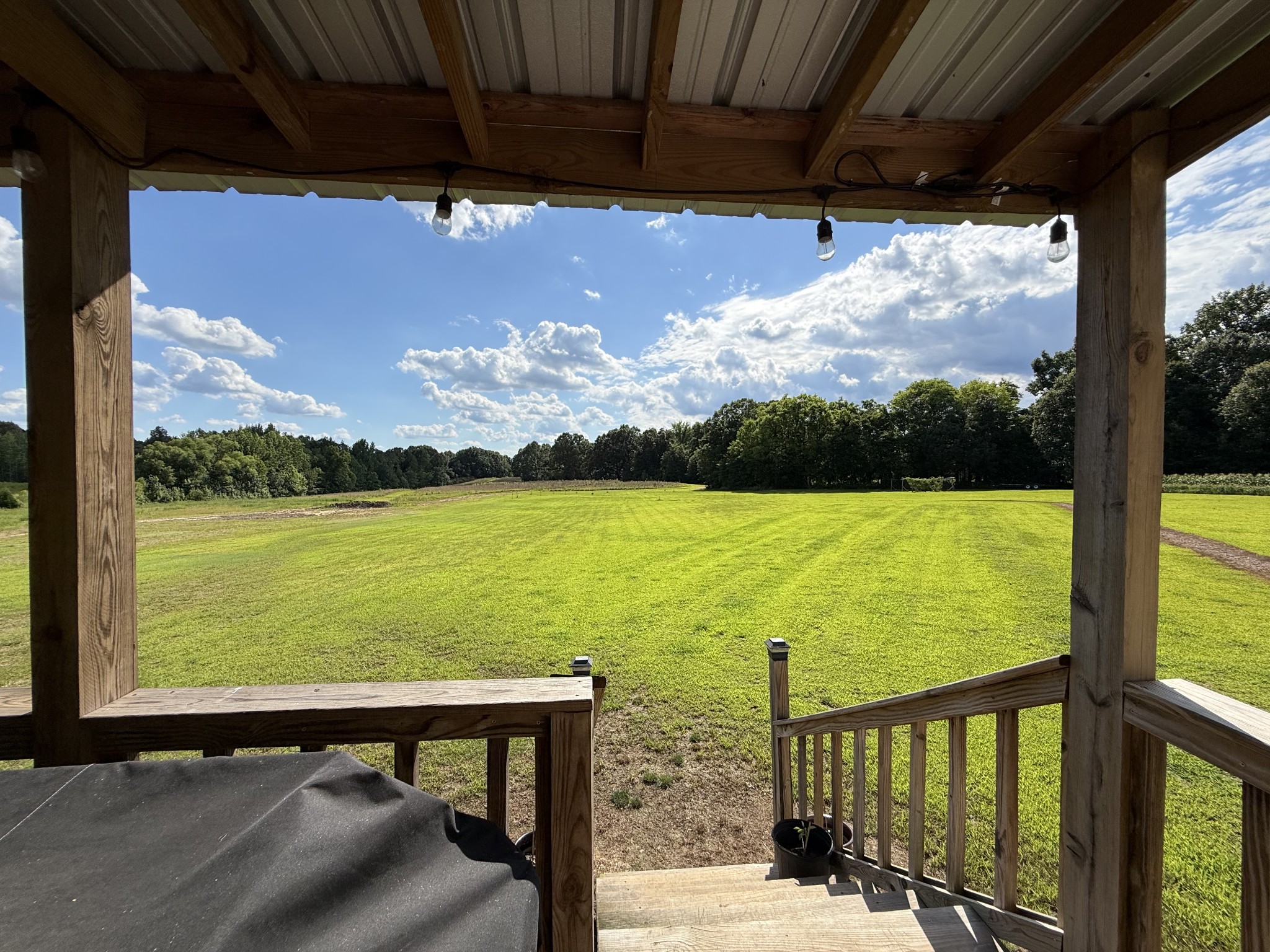 2333 Shady Grove Road McKenzie, TN 38201 - Photo 2 of 72