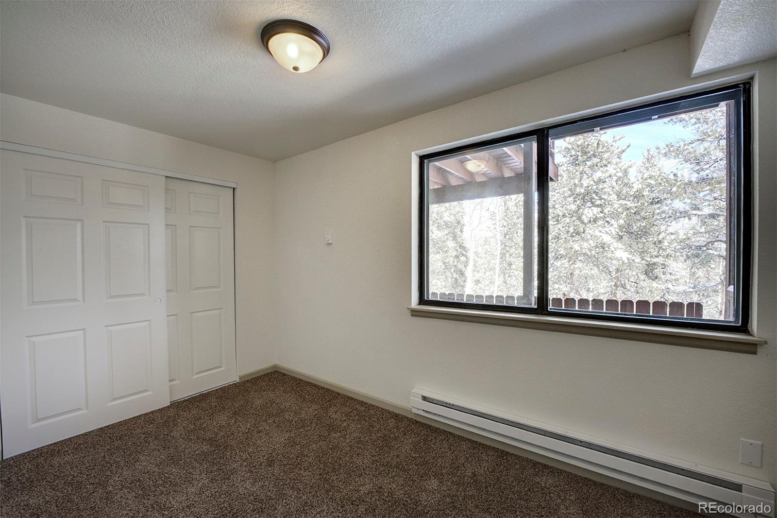 250 Ranch Way Bailey, CO 80421 - Photo 31 of 38 Gallery Image 31