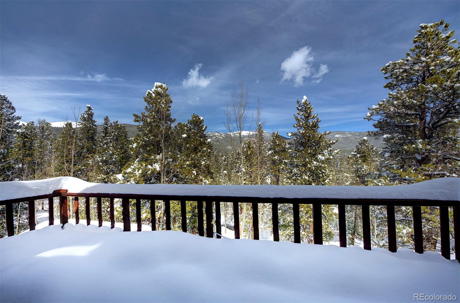 250 Ranch Way Bailey, CO 80421 - Photo 38 of 38 Gallery Image 38