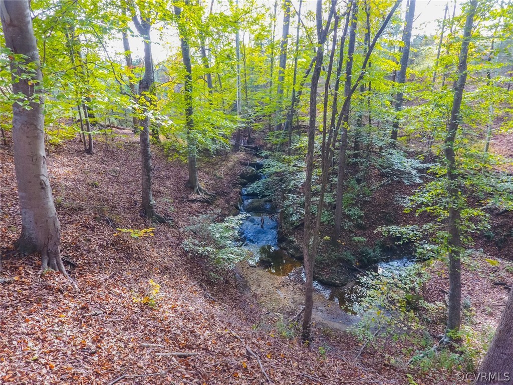 14151 Horseshoe Bridge Road Ashland, VA 23005 - Photo 8 of 50 Gallery Image 8