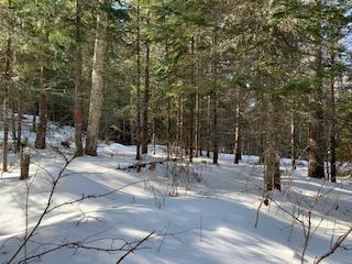 Tbd Gramps Way Stratton, ME 04982 - Photo 2 of 7 IMG_4386