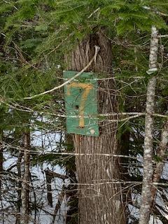Tbd Gramps Way Stratton, ME 04982 - Photo 6 of 7 IMG_4391