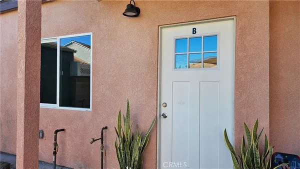 wooden floor with a potted plant in front of a door