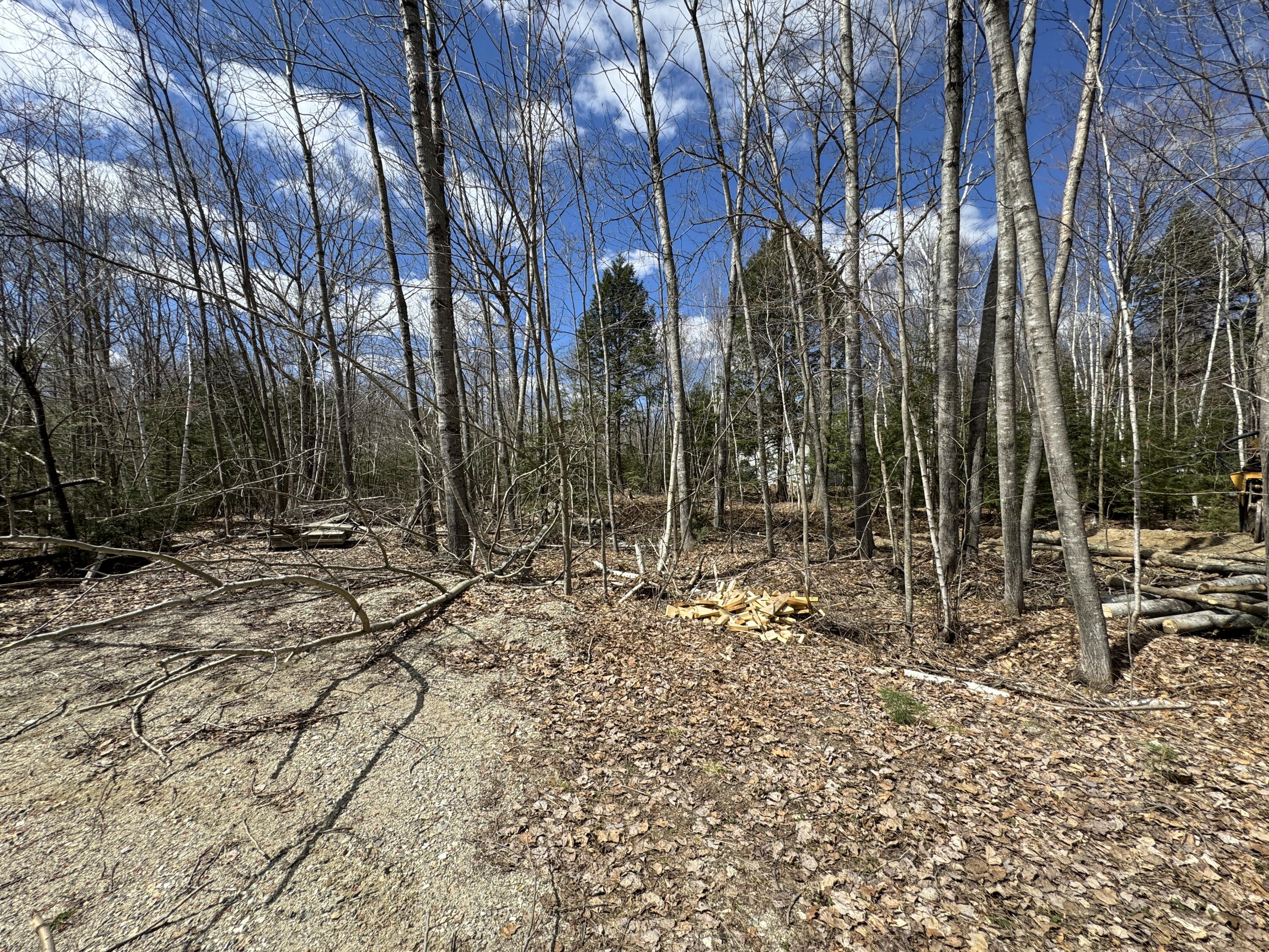 Lot 21 Johnson Road Greene, ME 04236 - Photo 13 of 18 IMG_4732