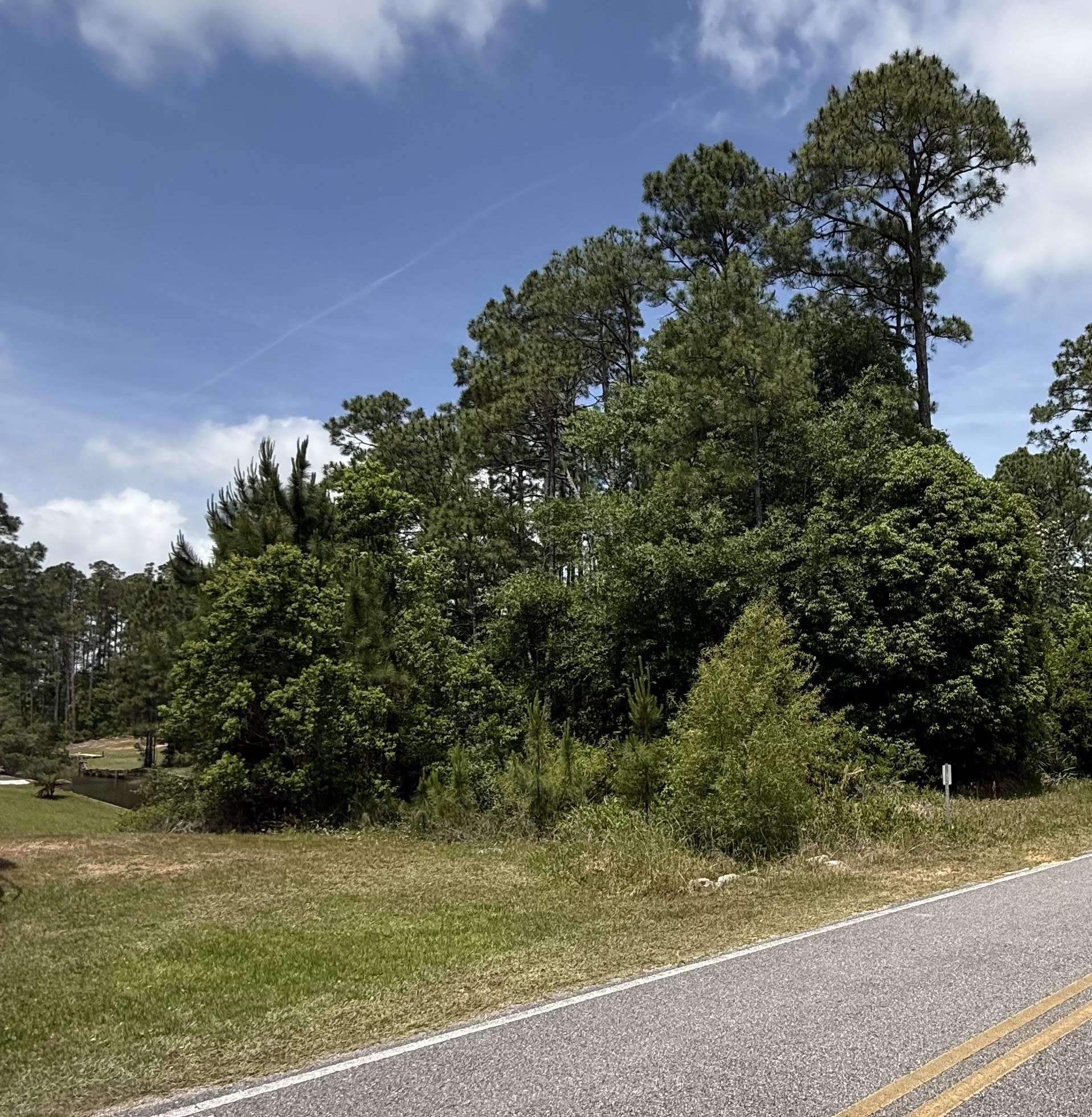 0 Canal Street Elberta, AL 36530 - Photo 2 of 8