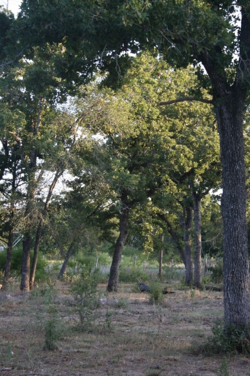 1025 Hidden Oak Road Dale, TX 78616 - Photo 1 of 1 Gallery Image 1