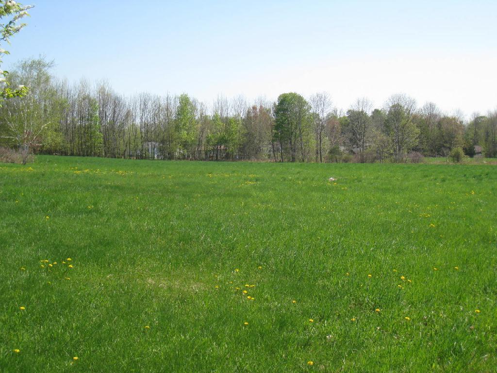 Lot 007 Ten Lots Road Oakland, ME 04963 - Photo 6 of 11 Woods for privacy