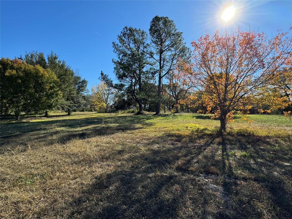 442076 West Bells Boulevard Bells, TX 75414 - Photo 2 of 8