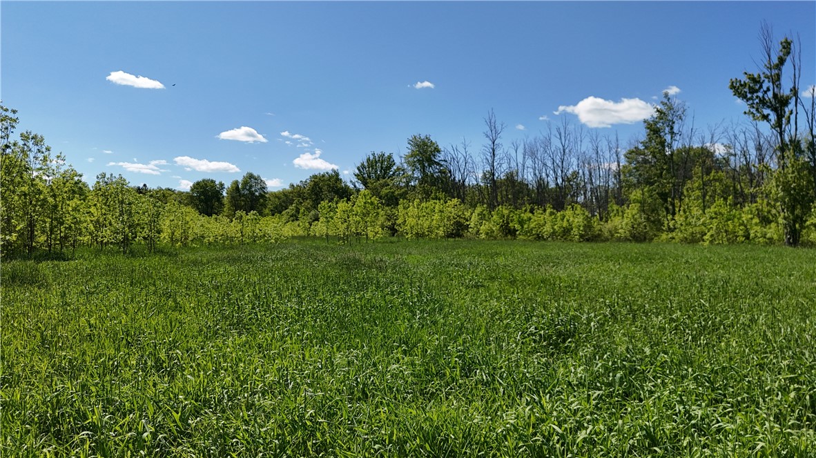 Dredge Ditch Road Conewango Valley, NY 14726 - Photo 1 of 21
