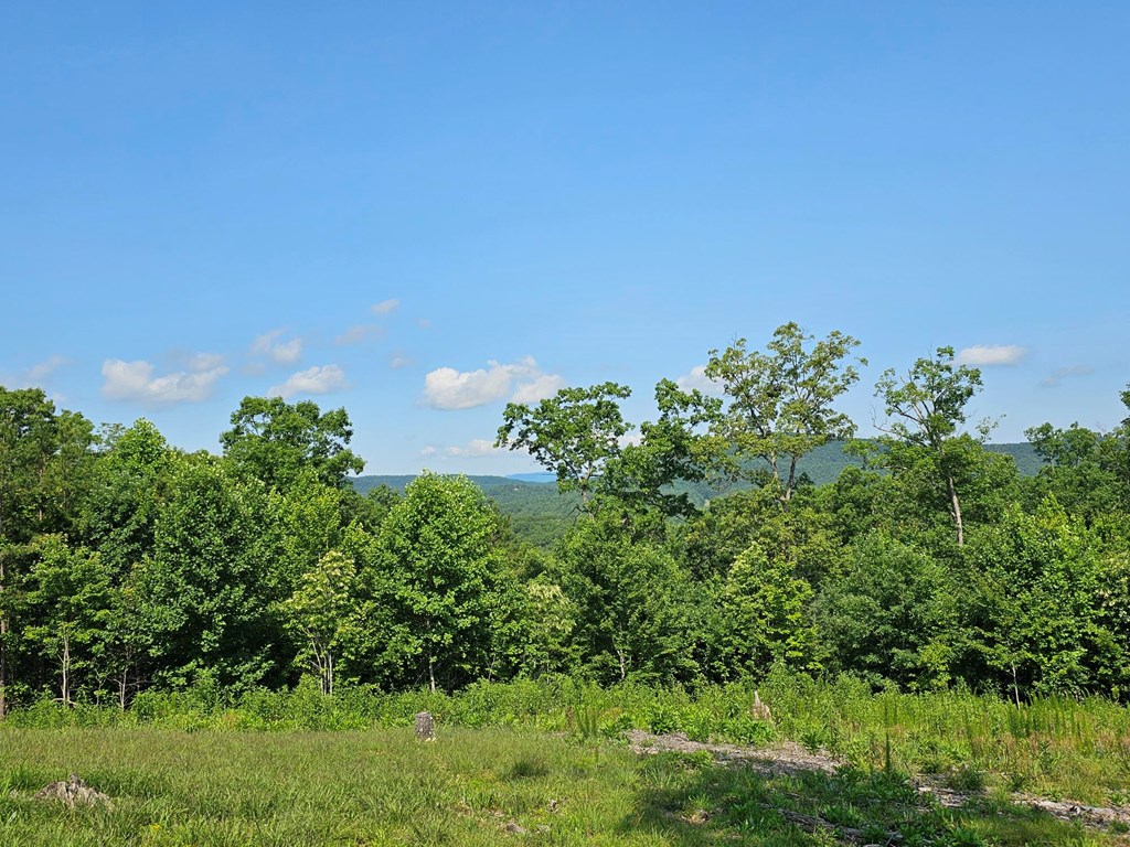 31-acres Upper Bear Paw Road Murphy, NC 28906 - Photo 19 of 26