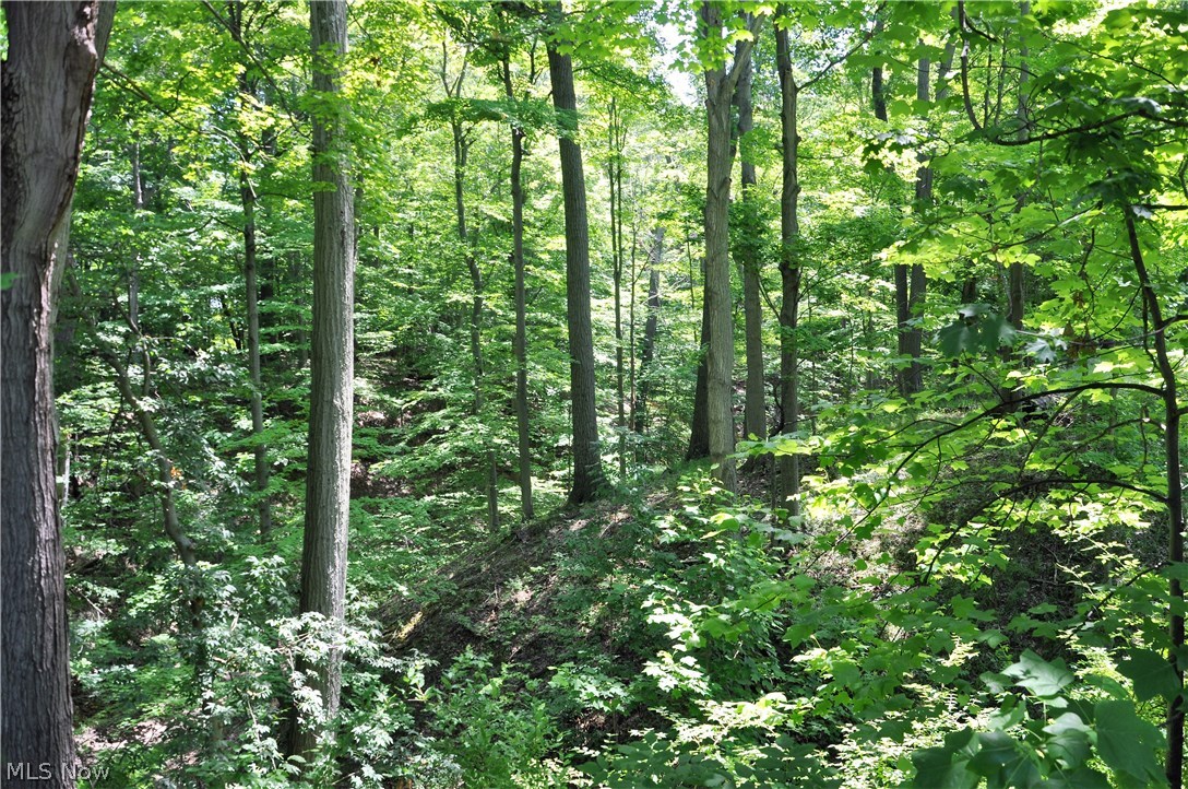 8016 Stone Road Independence, OH 44131 - Photo 15 of 21 Amazing scenic views from your new property!