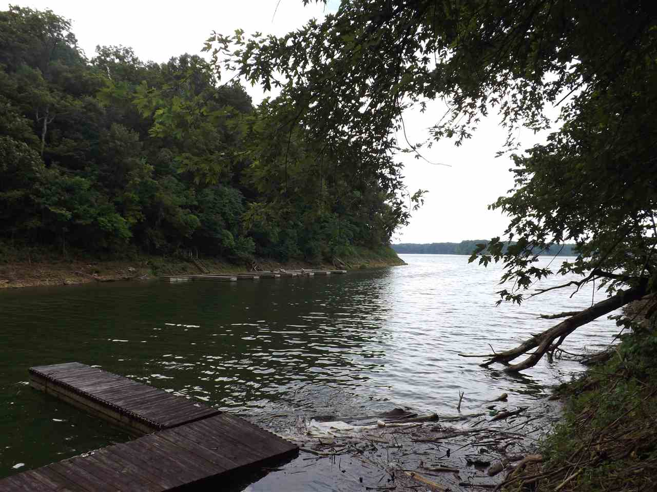 822 Joe Morris Road Glasgow, KY 42141 - Photo 4 of 4 Gallery Image 4