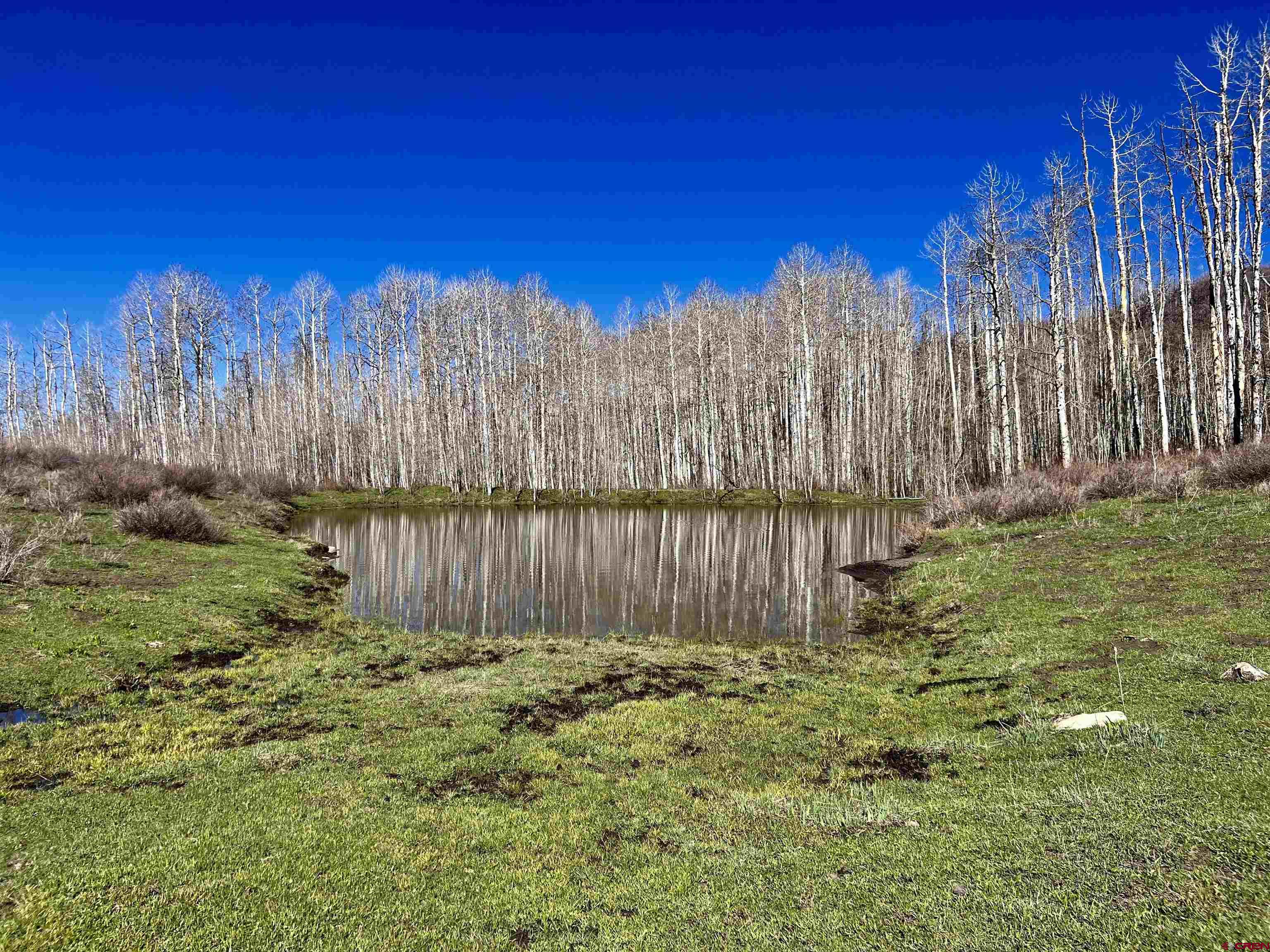 0 Groundhog Reservoir Road, Unit POND ROCK ELK & CATTLE Norwood, CO 81423 - Photo 12 of 35