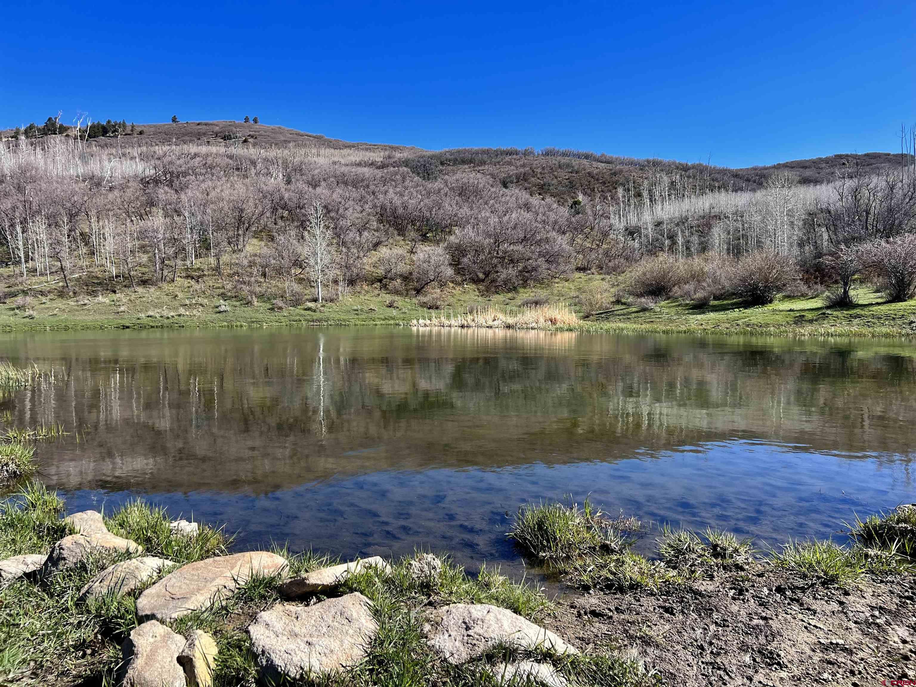 0 Groundhog Reservoir Road, Unit POND ROCK ELK & CATTLE Norwood, CO 81423 - Photo 16 of 35 a view of a lake with mountains in the background