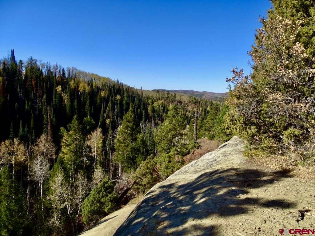 0 Groundhog Reservoir Road, Unit POND ROCK ELK & CATTLE Norwood, CO 81423 - Photo 21 of 35 a view of a yard with a tree