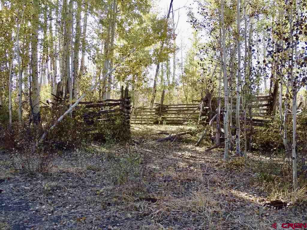 0 Groundhog Reservoir Road, Unit POND ROCK ELK & CATTLE Norwood, CO 81423 - Photo 26 of 35 a view of outdoor space with trees