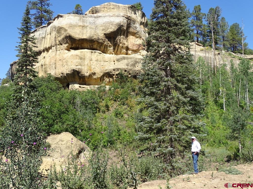 0 Groundhog Reservoir Road, Unit POND ROCK ELK & CATTLE Norwood, CO 81423 - Photo 28 of 35 a view of a backyard of the house