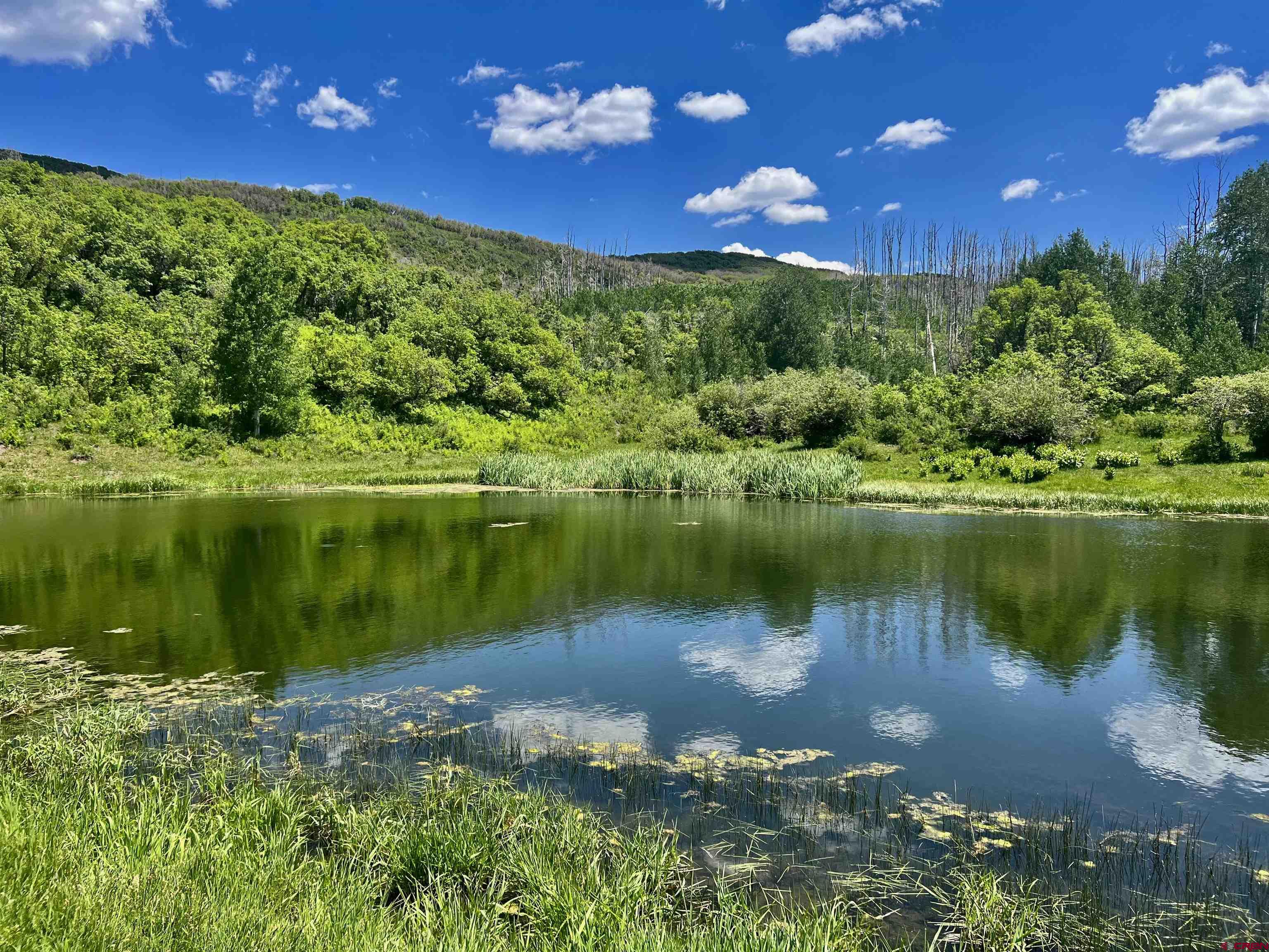 0 Groundhog Reservoir Road, Unit POND ROCK ELK & CATTLE Norwood, CO 81423 - Photo 3 of 35 a view of a lake from a yard