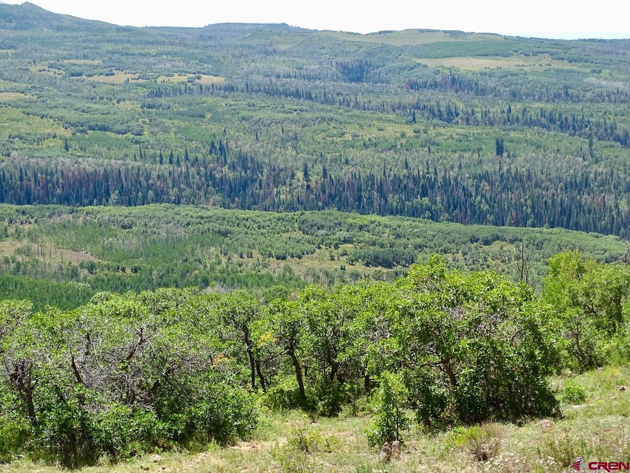 0 Groundhog Reservoir Road, Unit POND ROCK ELK & CATTLE Norwood, CO 81423 - Photo 34 of 35 a view of an outdoor space and a mountain view