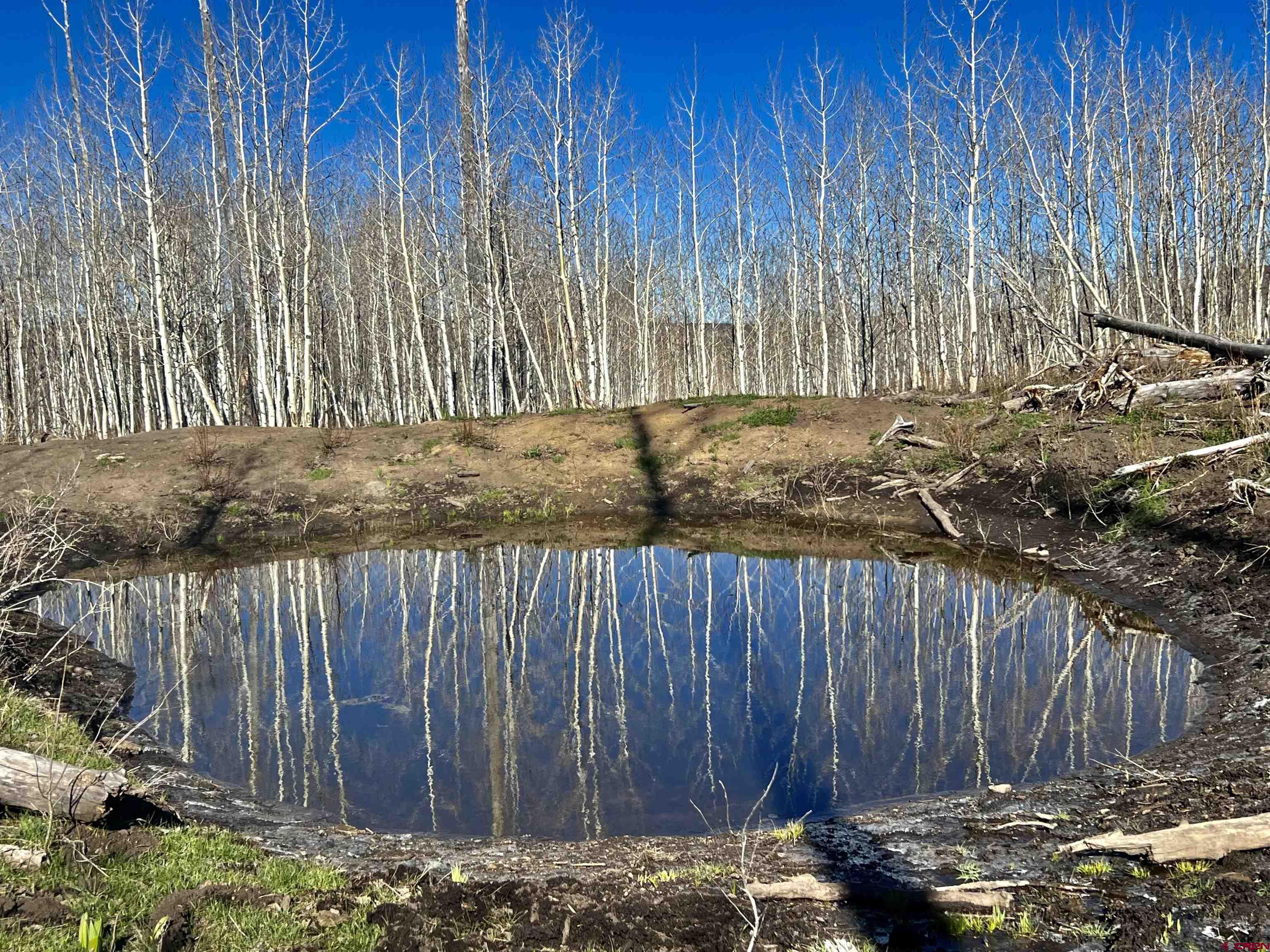 0 Groundhog Reservoir Road, Unit POND ROCK ELK & CATTLE Norwood, CO 81423 - Photo 9 of 35 a view of a wooden fence