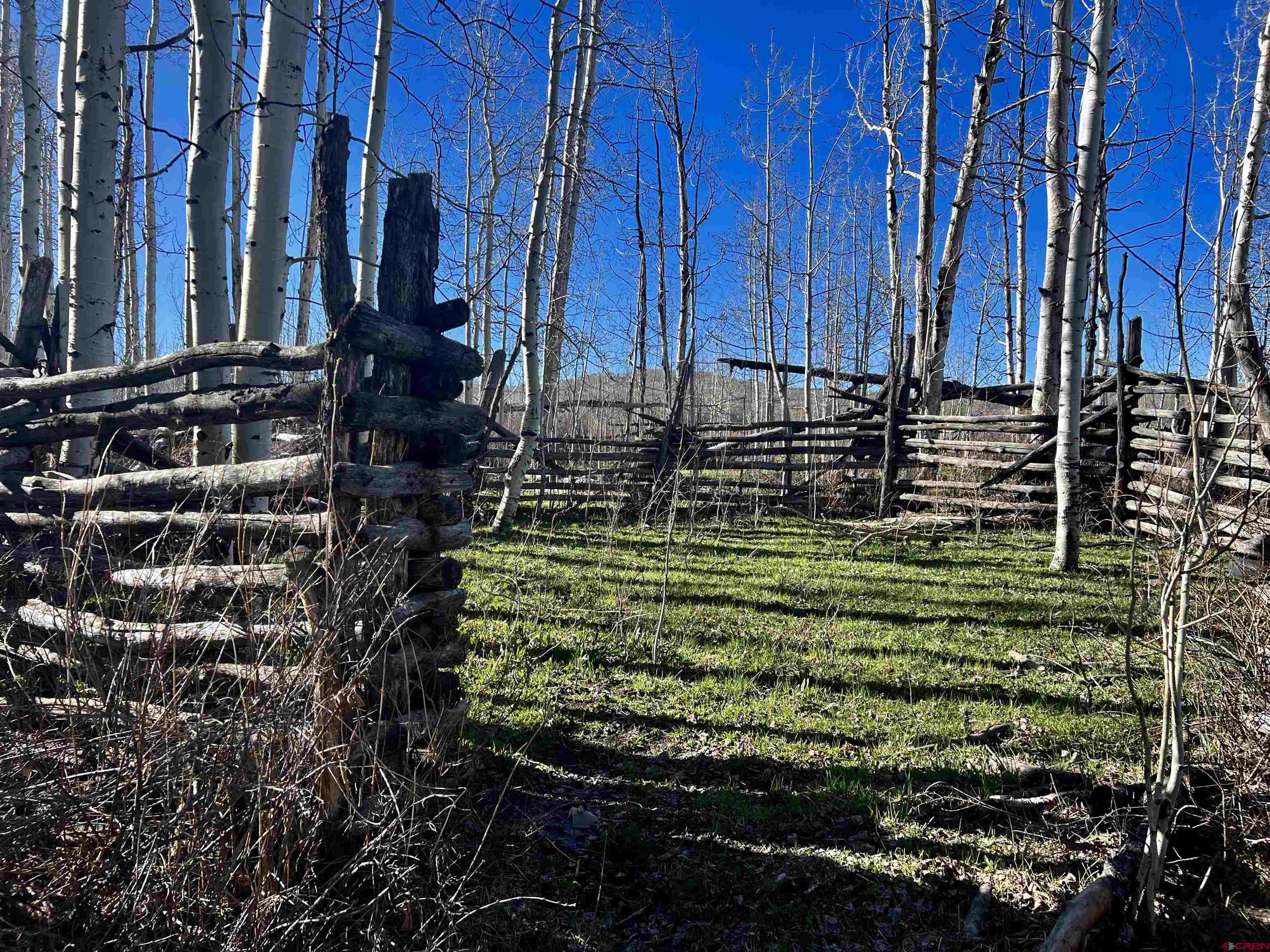 0 Groundhog Reservoir Road, Unit POND ROCK ELK & CATTLE Norwood, CO 81423 - Photo 10 of 35 a view of a back yard