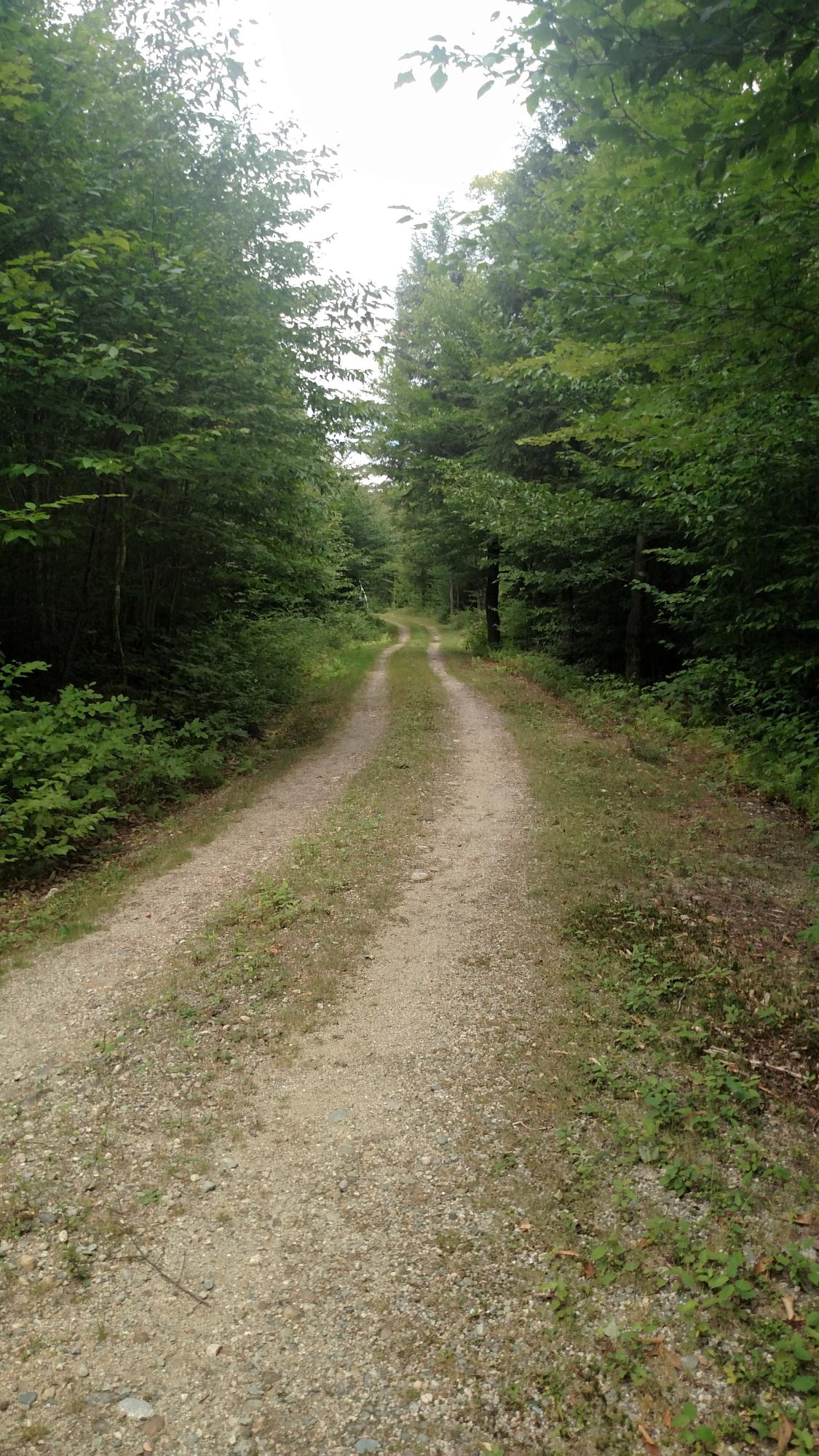Lot 1 Runahan Road Andover, ME 04216 - Photo 11 of 15 Pelletier Subdivision 5