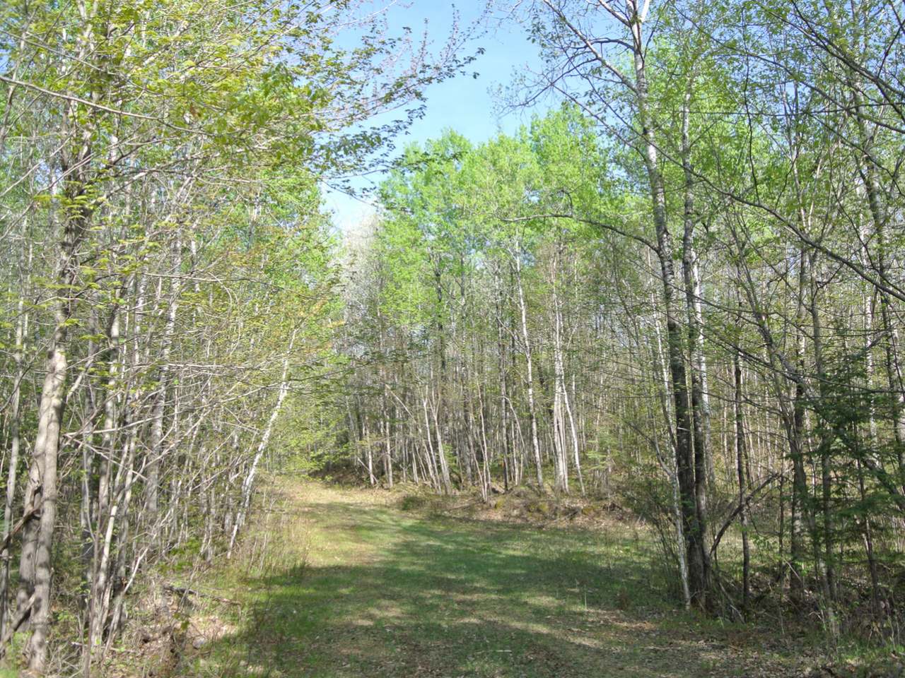 101-ac Sutton Road Minocqua, WI 54548 - Photo 26 of 35 Gallery Image 26