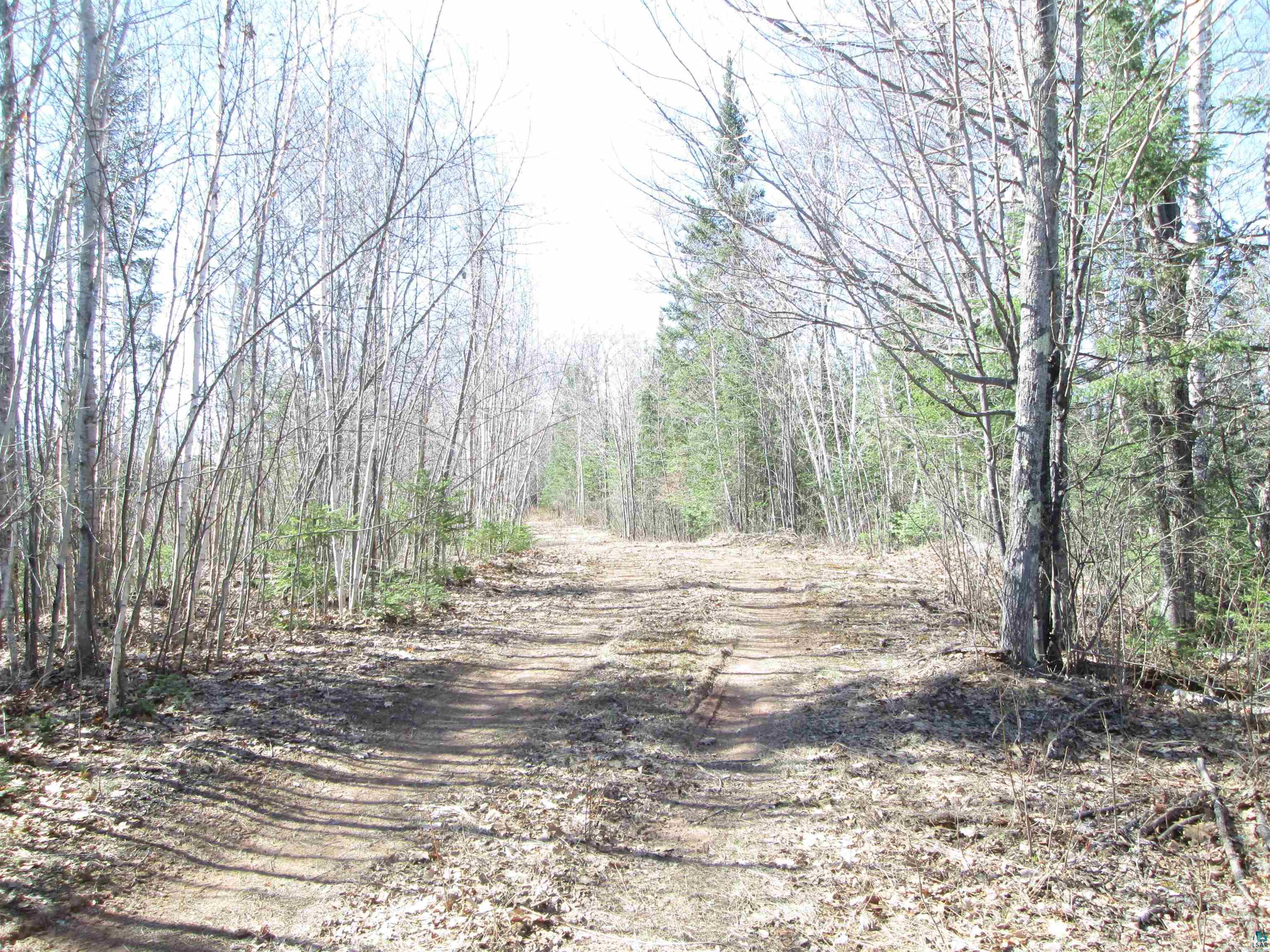 Lot 2-40 Acres County Road South Range, WI 54874 - Photo 13 of 39 Gallery Image 13