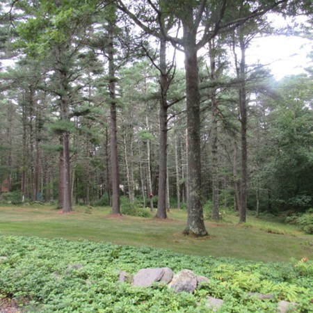155 Bullock Road Freetown, MA 02717 - Photo 3 of 14 Gallery Image 3