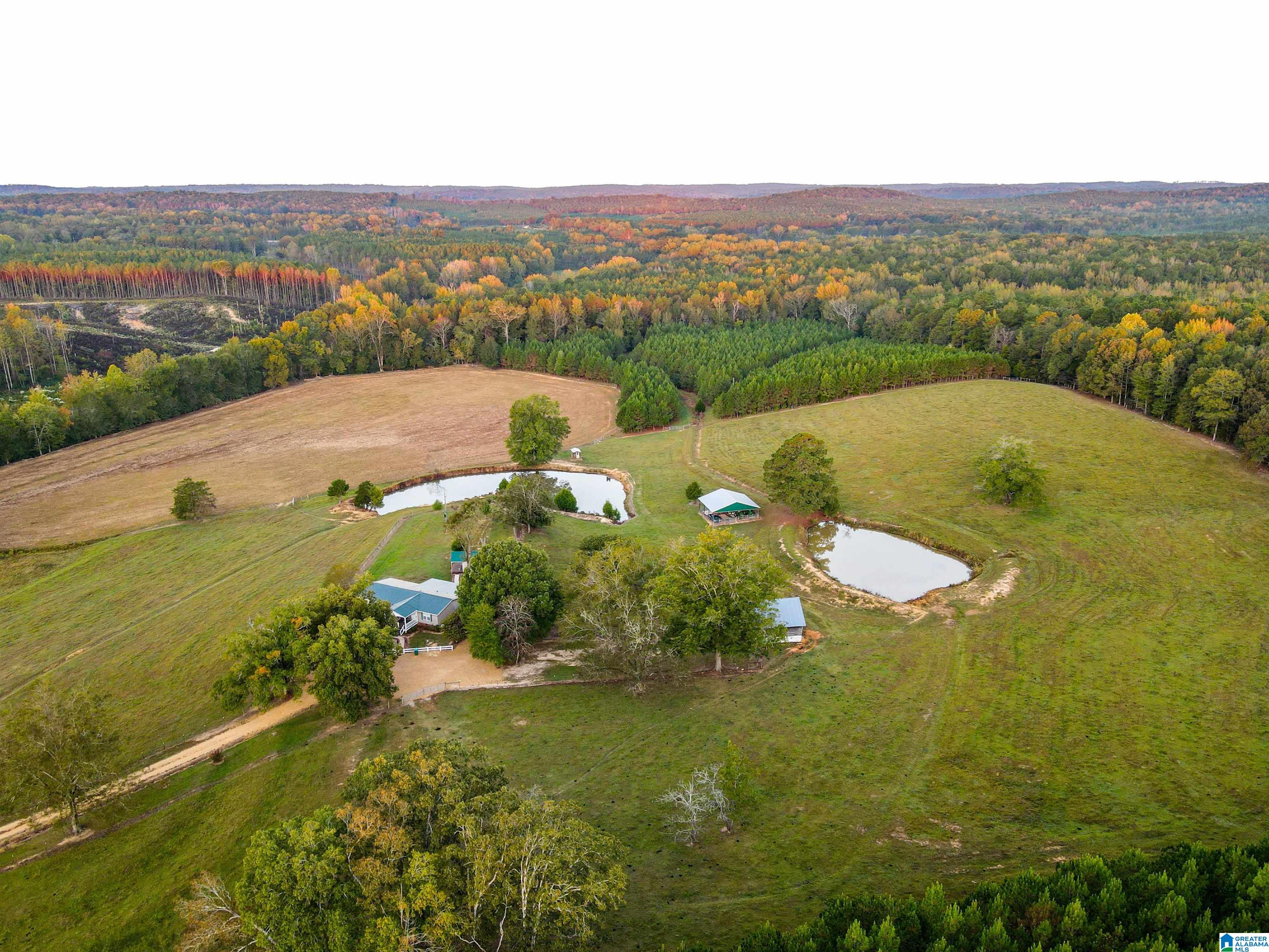 845 Turner Road Fayette, AL 35555 - Photo 41 of 61
